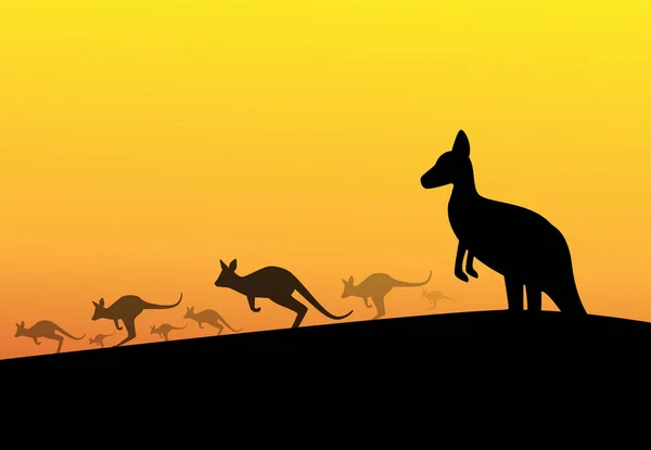 Group Kangaroos Desert Silhouette Vector Art — Stock Vector