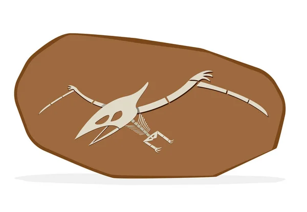 Ptérosaures Cray Fossile Sur Art Vectoriel Blanc — Image vectorielle