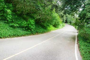 Ormandaki boş beton yol