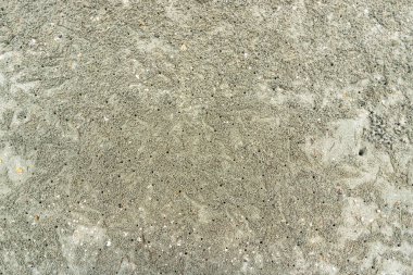 Plaj kum doku hayalet Yengeç delikli