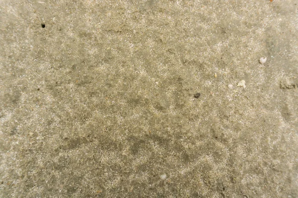 Pláž písek textury s duch krab díra — Stock fotografie