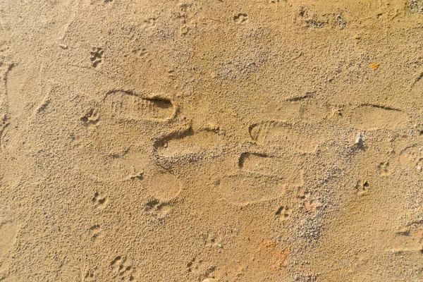 Zand bodemtextuur met track voor achtergrond — Stockfoto