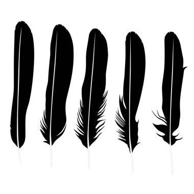 Vektör çizim ayrıntılı tüy siluet koleksiyonu ayarla