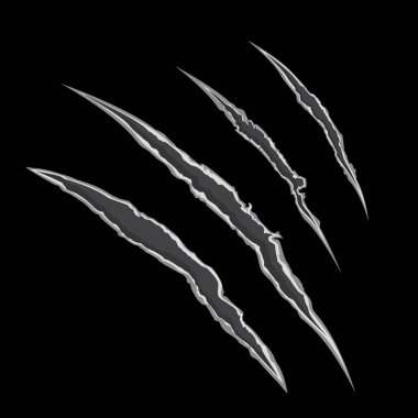 Vektör çizim pençe scrathes. Canavar pençe, el çizik, RIP aracılığıyla, ara dört dikey izleme.