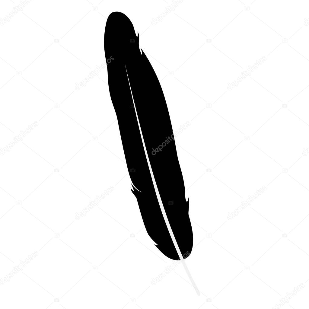 Vector illustration detailed feather silhouette isolated on white