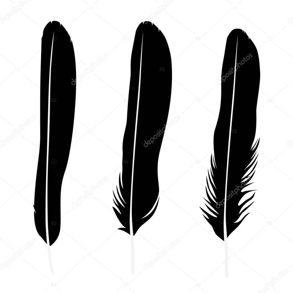 Vector illustration detailed feather silhouette collection, set