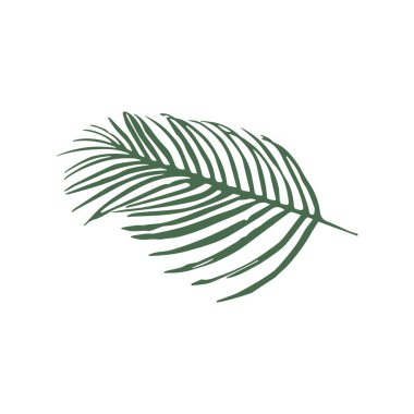 Raster simgesi yeşil beyaz arka plan üzerinde izole palmiye ağacının yaprakları