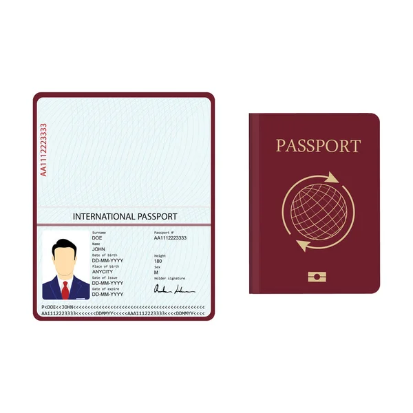 Raster Passaporte Ilustração Com Dados Biométricos Documento Identificação Modelo Passaporte — Fotografia de Stock