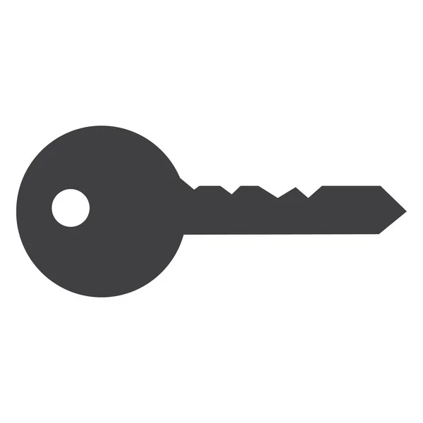 Raster Symbol Schlüssel Flachen Stil Schlüsselzeichen Symbol — Stockfoto