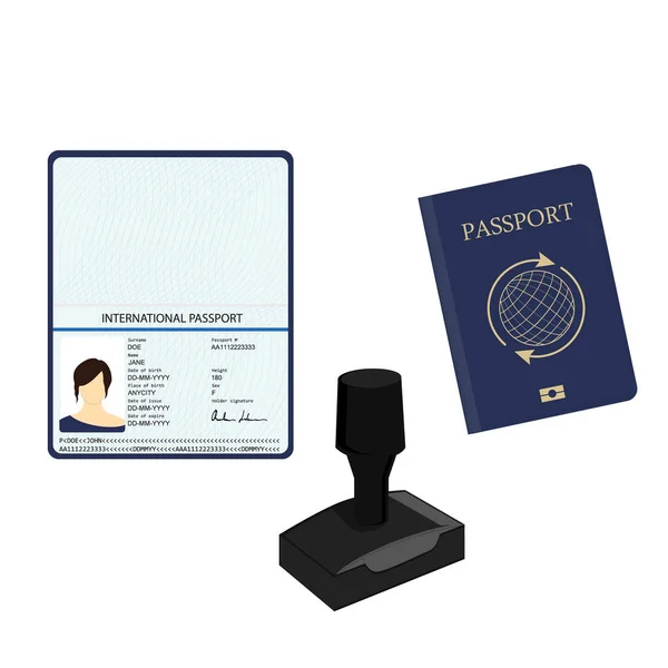 Raster Passaporte Ilustração Com Dados Biométricos Documento Identificação Carimbo Modelo — Fotografia de Stock