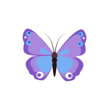 Beyaz arka plan üzerinde izole renkli kelebek. Güzel vektör kelebek bahar 