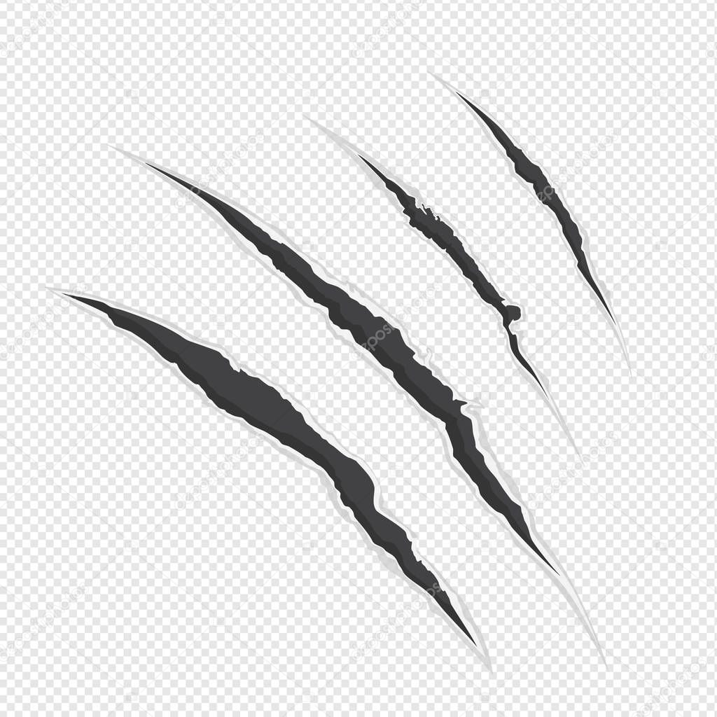 Vector illustration claw scrathes.  Four vertical trace of monster claw, hand scratch, rip through, break through.