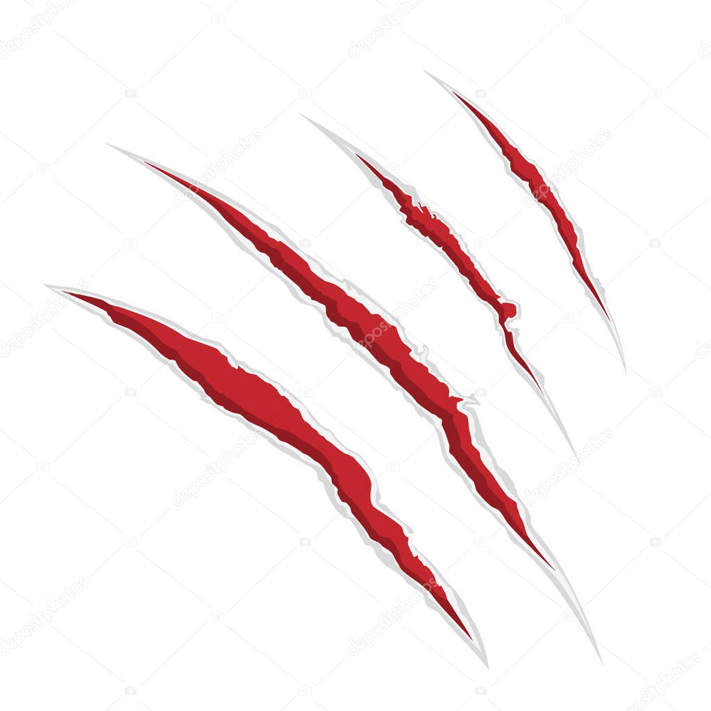 Vector illustration claw scrathes.  Four vertical trace of monster claw, hand scratch, rip through, break through.