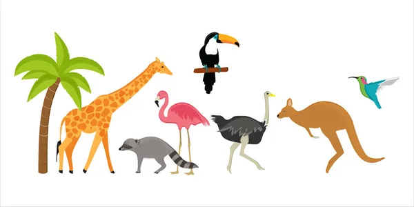 Animaux Fond Vectoriel Zoo — Image vectorielle