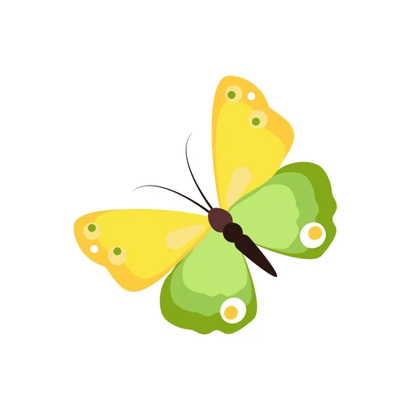 Butterfly raster våren — Stockfoto