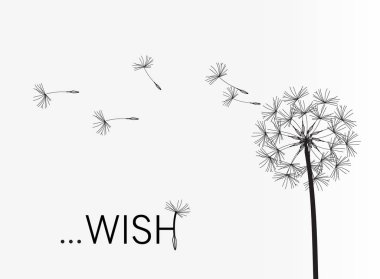 Karahindiba vektör. Dilek. Basit minimalist tarzı.