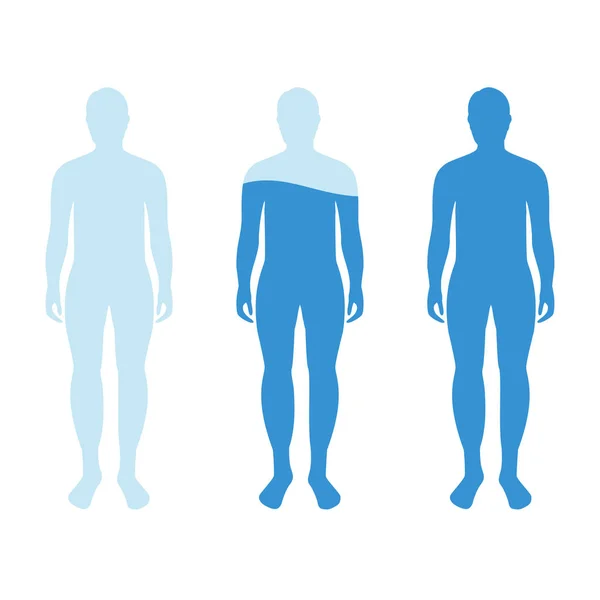 Infographic Showing Water Percentage Level Human Body Vector Illustration Water — Stock Vector