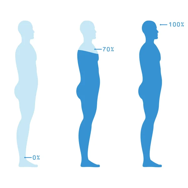 Infographie Montrant Pourcentage Eau Dans Corps Humain Illustration Vectorielle Bilan — Image vectorielle