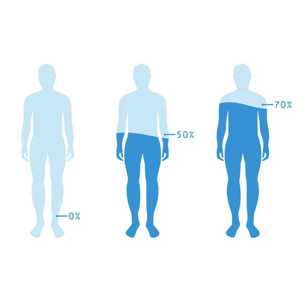 Infographie Montrant Pourcentage Eau Dans Corps Humain Illustration Vectorielle Bilan — Image vectorielle