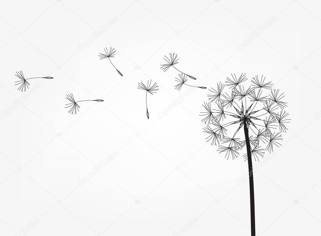 Abstract background of a dandelion for design. The wind blows the seeds of a dandelion. Template for posters, wallpapers, posters. Vector illustration