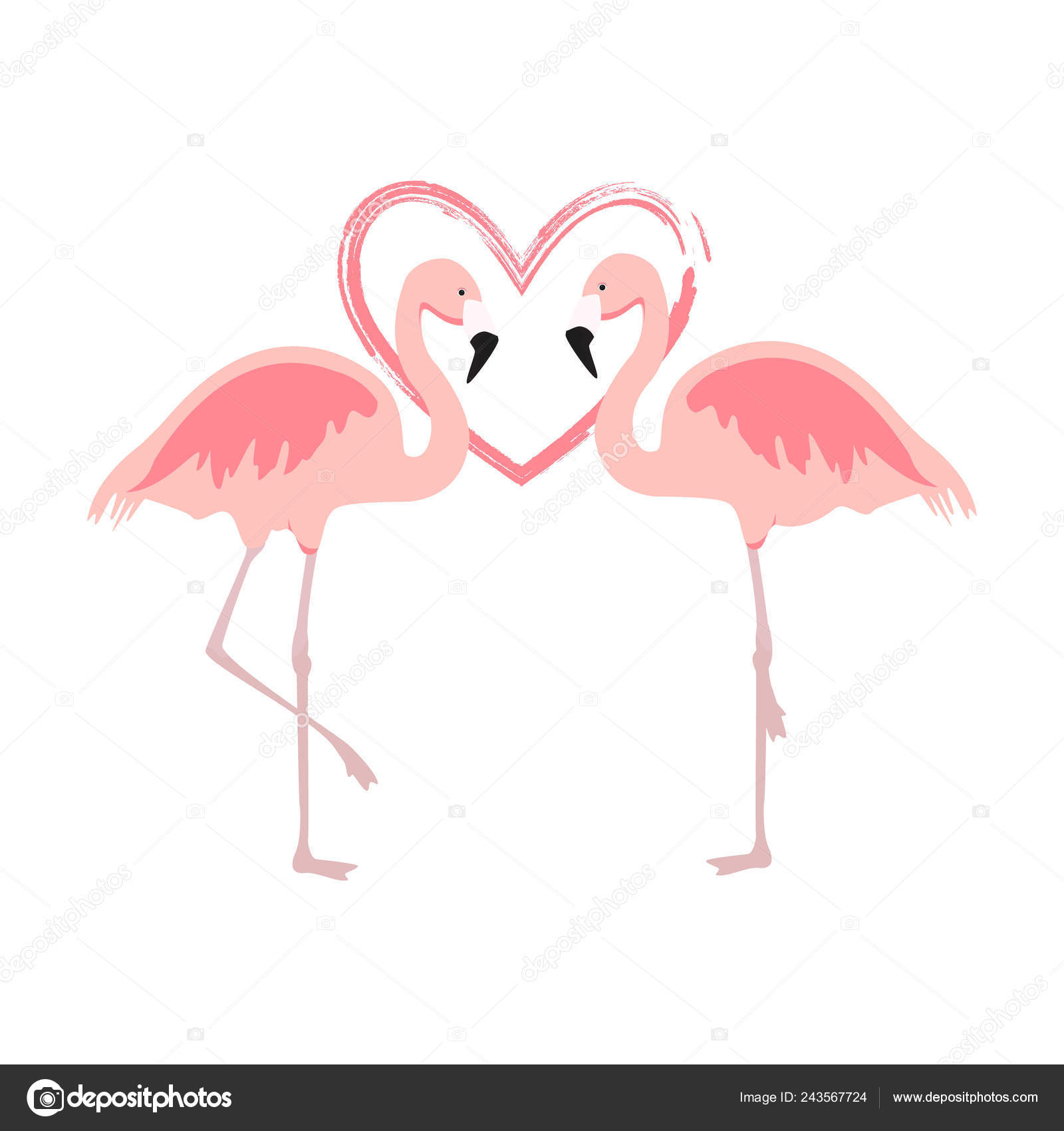 Roze Flamingo dating