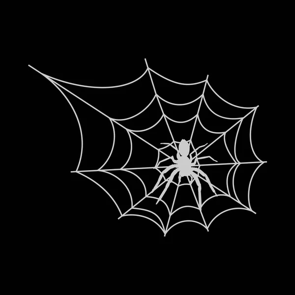 Pajęczyna Białym Czarnym Tle Spiderweb Pająk Dla Projektowania Halloween Spider — Zdjęcie stockowe