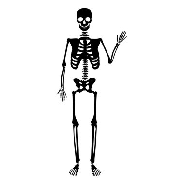 Raster illüstrasyon iskelet Cadılar Bayramı için dans. Sonbahar tatil. İskelet Merhaba, Merhaba 