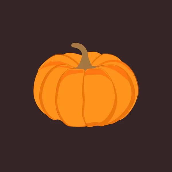 Halloween pumpkin on dark background. Raster cartoon Illustration.