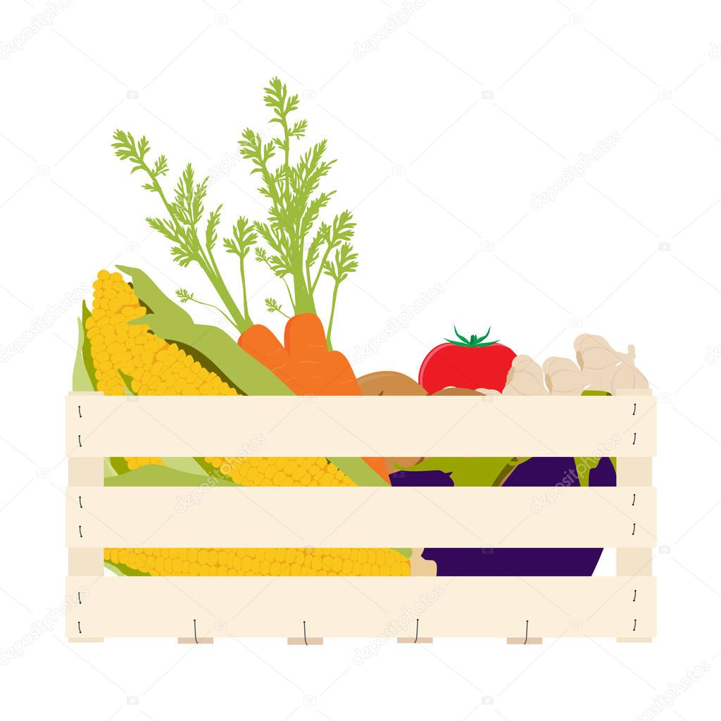 Raster illustration wooden box with vegetables food. Carrots, potatoes, tomatos, eggplants, garlic and golden corn