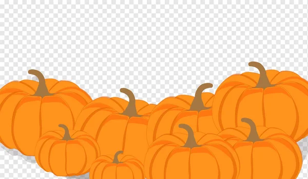 Herbst Raster Orange Kürbisse Horizontale Banner Design Vorlage Für Bauernmarkt — Stockfoto