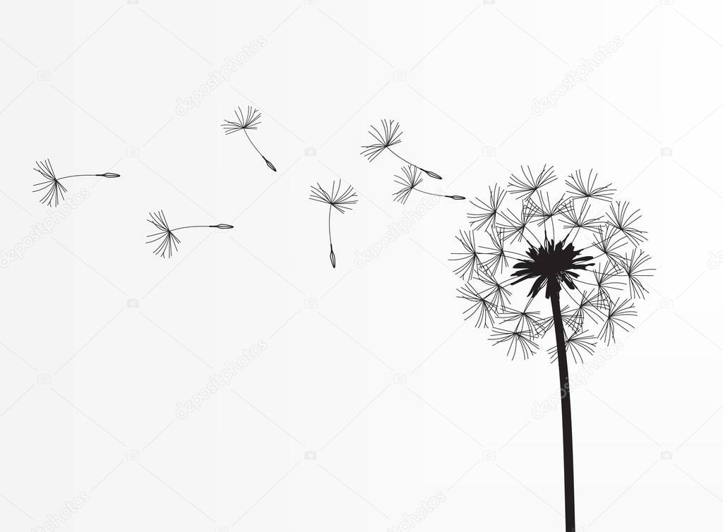 Abstract background of a dandelion for design. The wind blows the seeds of a dandelion. Template for posters, wallpapers, posters. Raster illustration