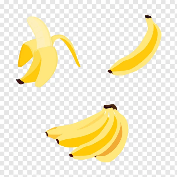 Bananensatz — Stockvektor