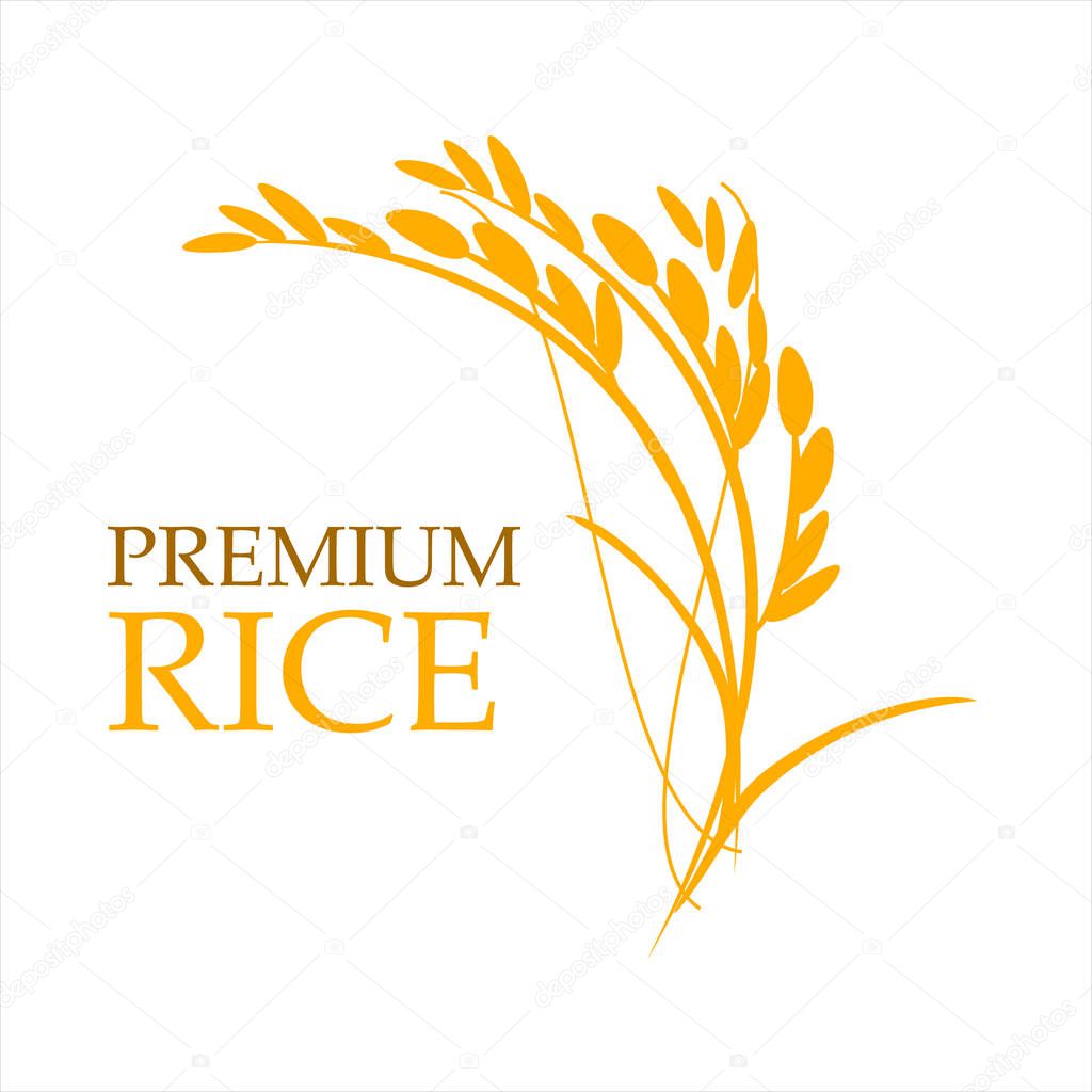 Orange paddy rice premium organic natural product banner logo vector design