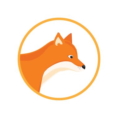 Orman kırmızı tilki