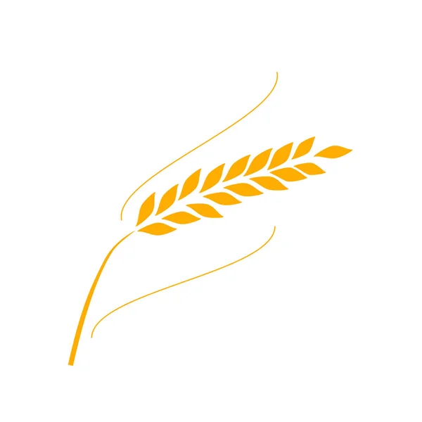 Логотип сельскохозяйственной пшеницы — стоковый вектор