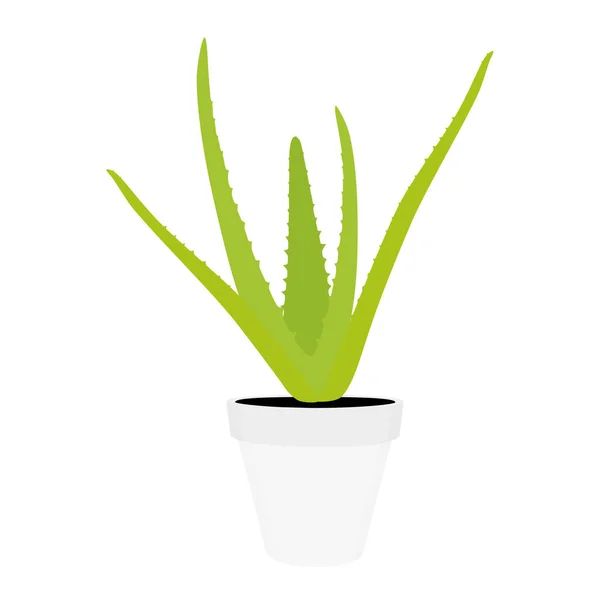 Aloe vera fiore — Vettoriale Stock
