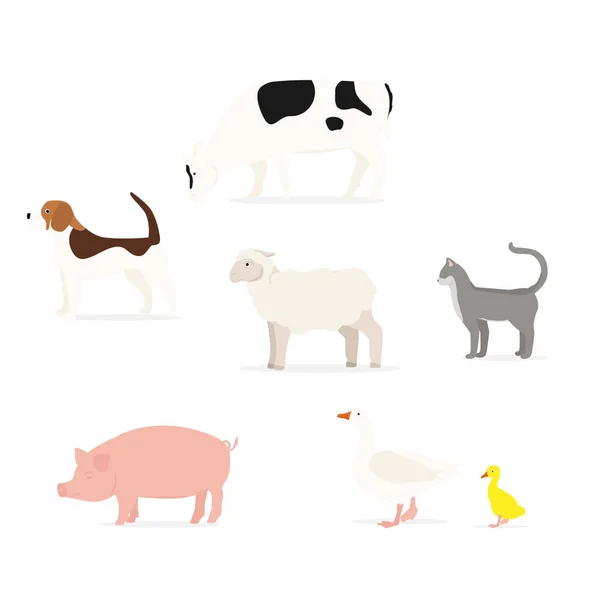 Colección de animales de dibujos animados — Vector de stock