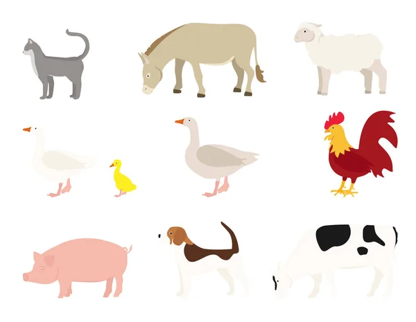 Colección de animales de dibujos animados — Vector de stock