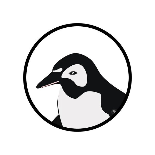 动物园动物企鹅 — 图库矢量图片