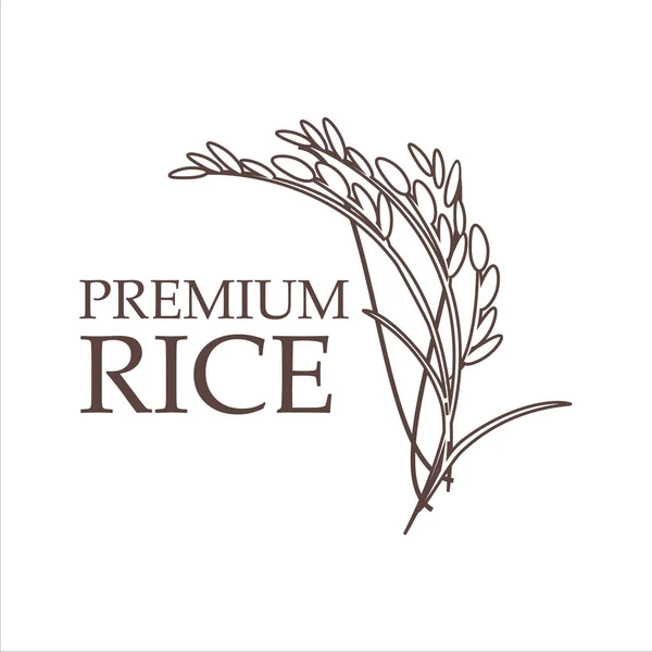 Рис преміум логотип — стоковий вектор