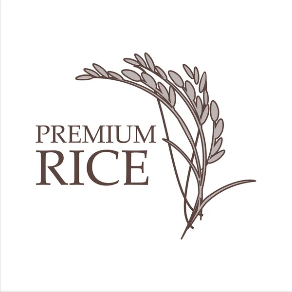 Logotipo premium de arroz — Vetor de Stock