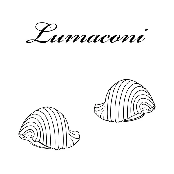 Pasta lumaconi auténtica pasta italiana. Mano dibujada. Ilustración rasterizada en estilo vintage . — Foto de Stock