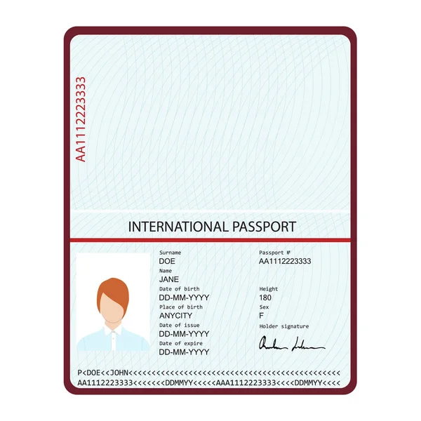 パスポートの身分証明書類 — ストックベクタ