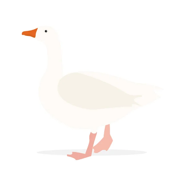 Poultry farm goose — Stock Photo, Image