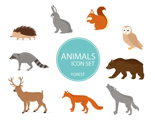 Forest animals birds