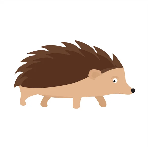 Hedgehog animal espinhoso — Fotografia de Stock