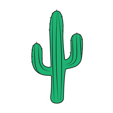 Kaktüs beyaz arkaplanda izole