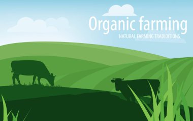 Organik tarım. Doğal çiftçilik gelenekleri. Kırsal alan, çiftlik hayvanları ve tasarım elementleri