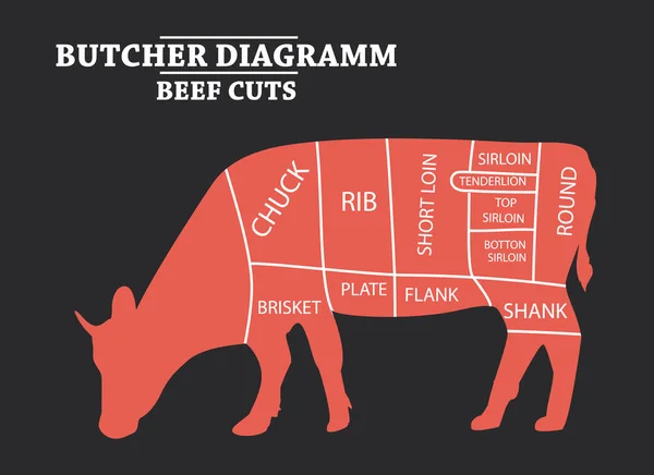 Corte de carne. Diagrama do Carniceiro - Vaca . —  Vetores de Stock