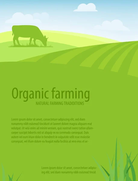 Rolnictwo ekologiczne. Naturalne tradycje rolnicze. — Wektor stockowy
